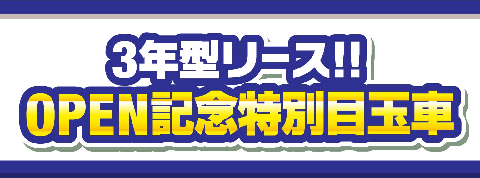 3年型リース!!OPEN記念特別目玉車